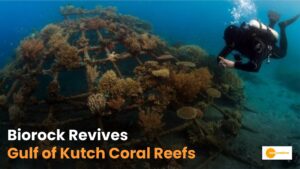 Read more about the article Reviving Gulf of Kutch: Biorock Breathes Life into Coral Reefs!