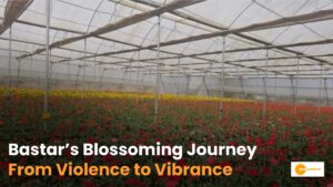 Read more about the article Rose Farming in Bastar: पूरे देश में फैल रही बस्तर के गुलाब की महक