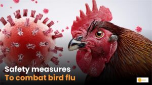 Read more about the article Bird Flu in Chhattisgarh: बर्ड फ्लू से सावधानी जरूरी!