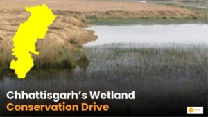 Read more about the article CG Wetland Conservation: वेटलैंड संरक्षण की ओर महत्वपूर्ण कदम!