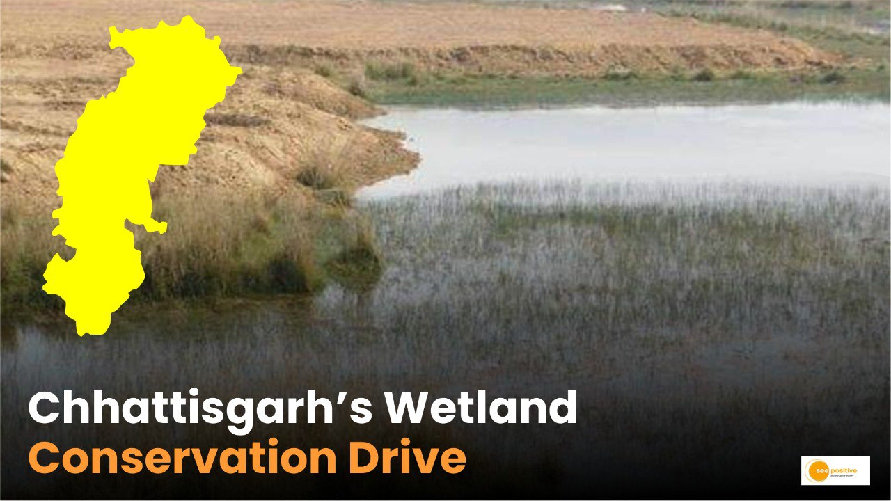 CG Wetland Conservation