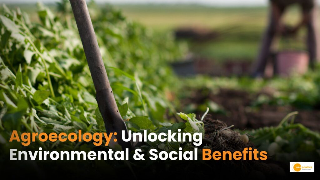 Sustainability in Action: Agroecology for health of people and planet