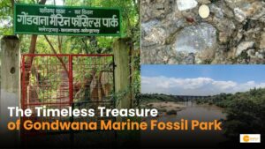 Read more about the article Gondwana Marine Fossil Park: छत्तीसगढ़ का अनमोल खजाना!