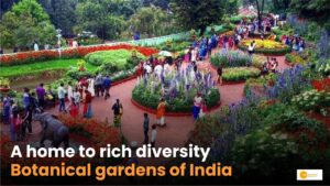 Read more about the article Must-visit botanical gardens of India