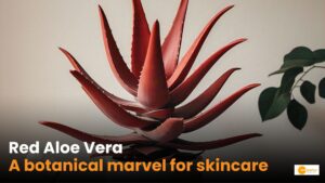 Read more about the article What makes it star ingredient in future of skincare?