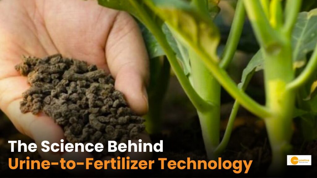 Know How Urine turns into Valuable Fertilizer?