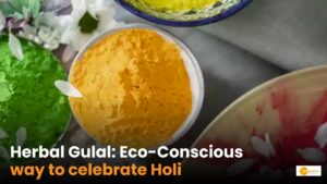 Read more about the article Why Herbal Gulal is a safe choice?