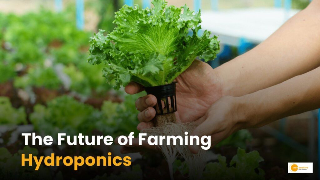 Farming without soil: हाइड्रोपोनिक तकनीक है खेती का लाभकारी विकल्प