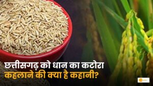 Read more about the article Chhattisgarh: क्यों कहलाता है ‘धान का कटोरा’?