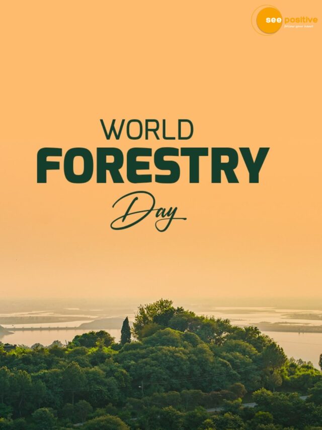 Know some interesting facts on WORLD FORESTRY DAY