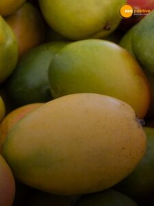 Read more about the article Mango “king of fruits” arrives. Here are some facts.