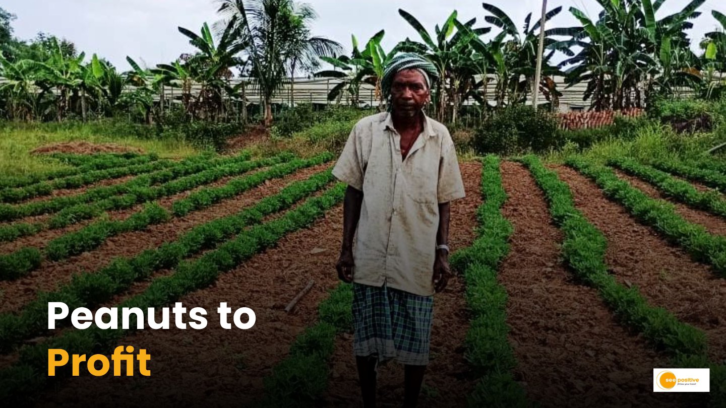 Chhattisgarh agriculture success