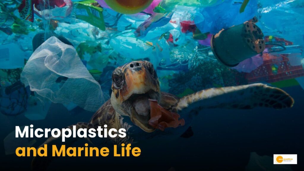 How Microplastics Are Threatening Marine Life?