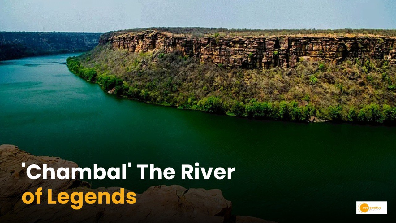 Chambal River