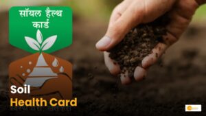 Read more about the article Soil Health Card: किसान लगा सकेंगे मिट्टी के हेल्थ का पता!