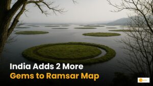 Read more about the article Ramsar sites India: खीचन और मेनार अब रामसर स्थल!