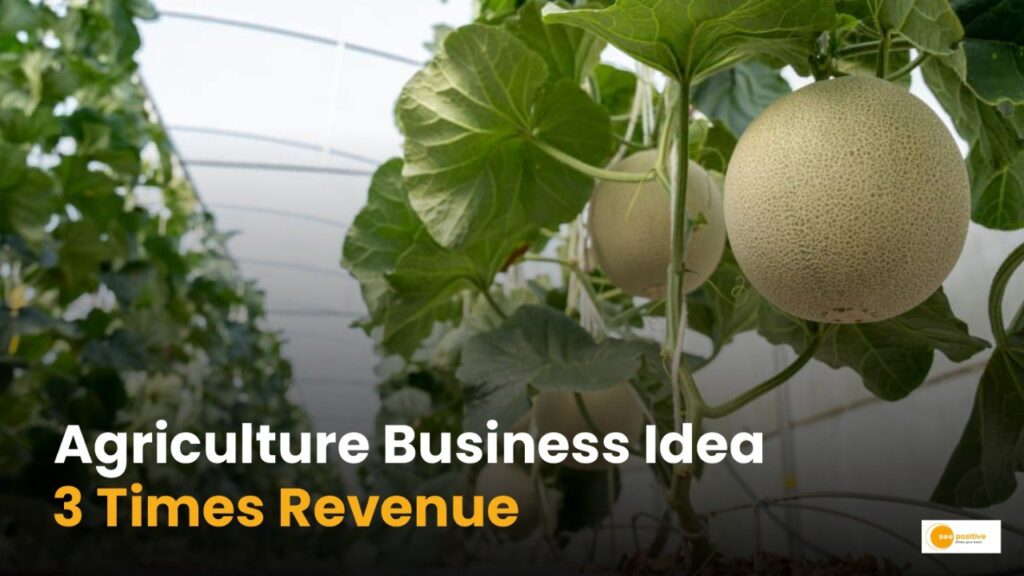 Agriculture Business Idea: सिर्फ 3 महीने में मुनाफा देती है ये खेती!
