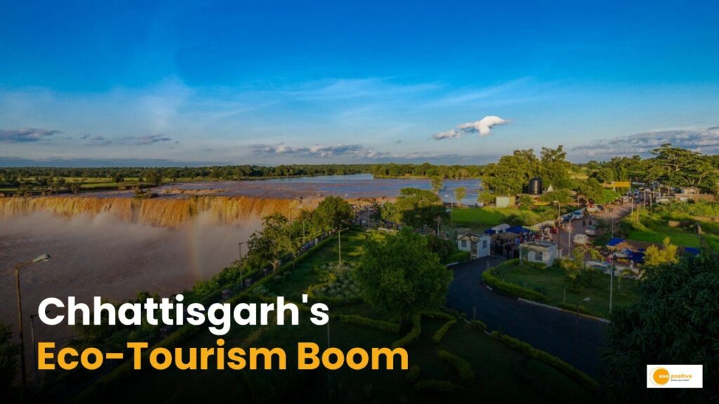 Preserving Chhattisgarh’s Culture Through Eco-Tourism. What makes Bastar Homestays unique?