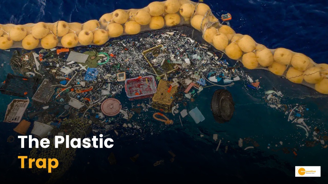 Plastic bag pollution