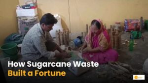 Read more about the article Waste Management: गन्ने के वेस्ट से खड़ा किया लाखों का बिजनेस!