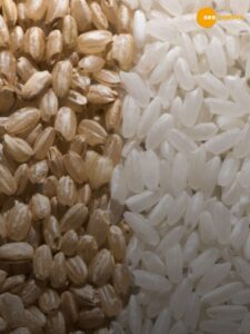 Read more about the article White rice and brown rice? Which is healthier?