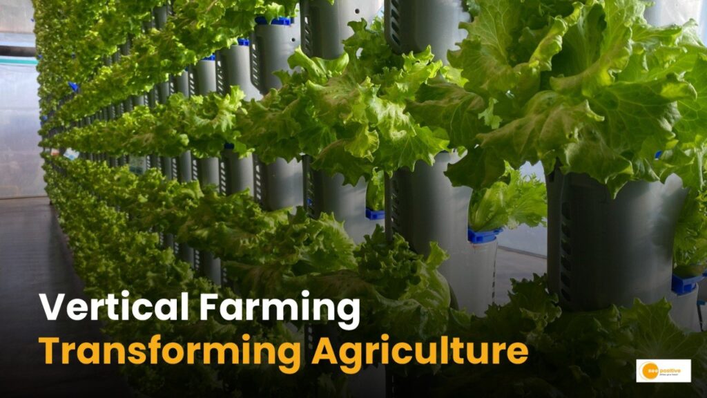 How Vertical Farming is transforming the Future of Urban Agriculture