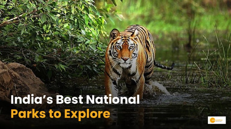 India’s Top National Parks