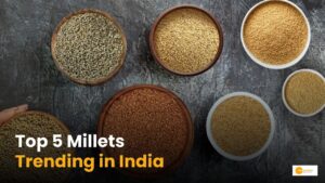Read more about the article Millets Are Trending in India — Here’s Why These 5 Are Leading the Way