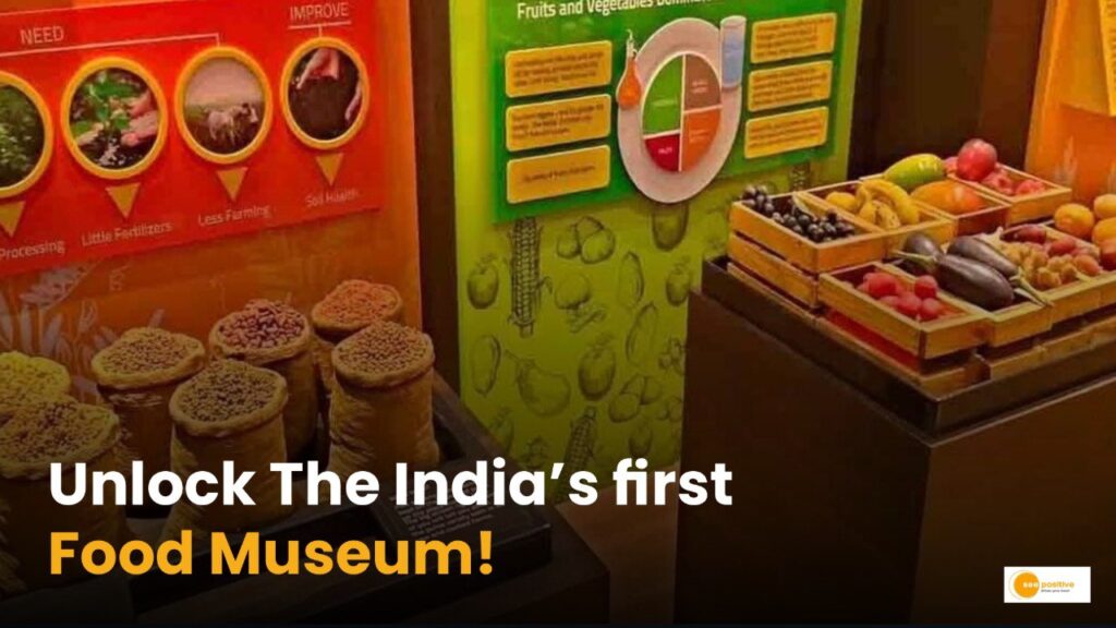 The Food Museum: From Meals to Miles ‘A Culinary Journey’