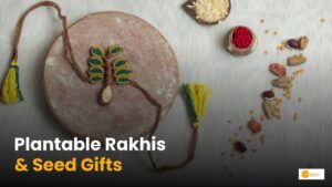 Read more about the article Top Eco-Friendly Rakhi Trends 2025: Plantable Rakhis and Seed Gifts are the new buzz.