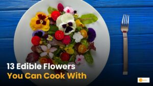 Read more about the article 13 Types Of Edible Flowers And Their Uses In Cooking