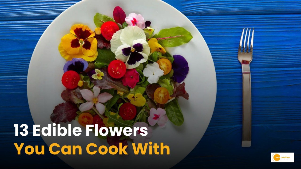 Edible Flowers