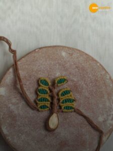 Read more about the article Why Plantable Rakhis and Seed Gifts Are the Best Eco-Friendly Choice?