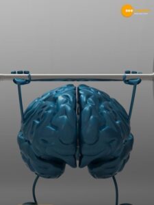 Read more about the article What Happens to Your Brain When You Work Out?