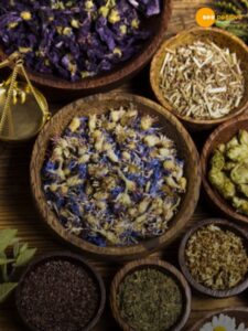 Read more about the article Control blood sugar naturally at home with these herbs