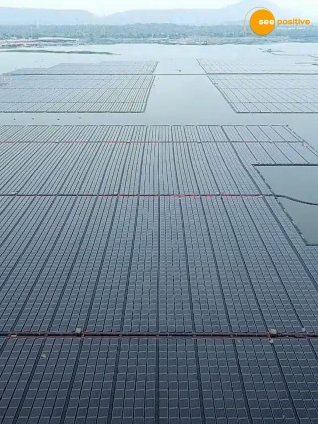 Chhattisgarh’s first floating solar plant at Bhilai