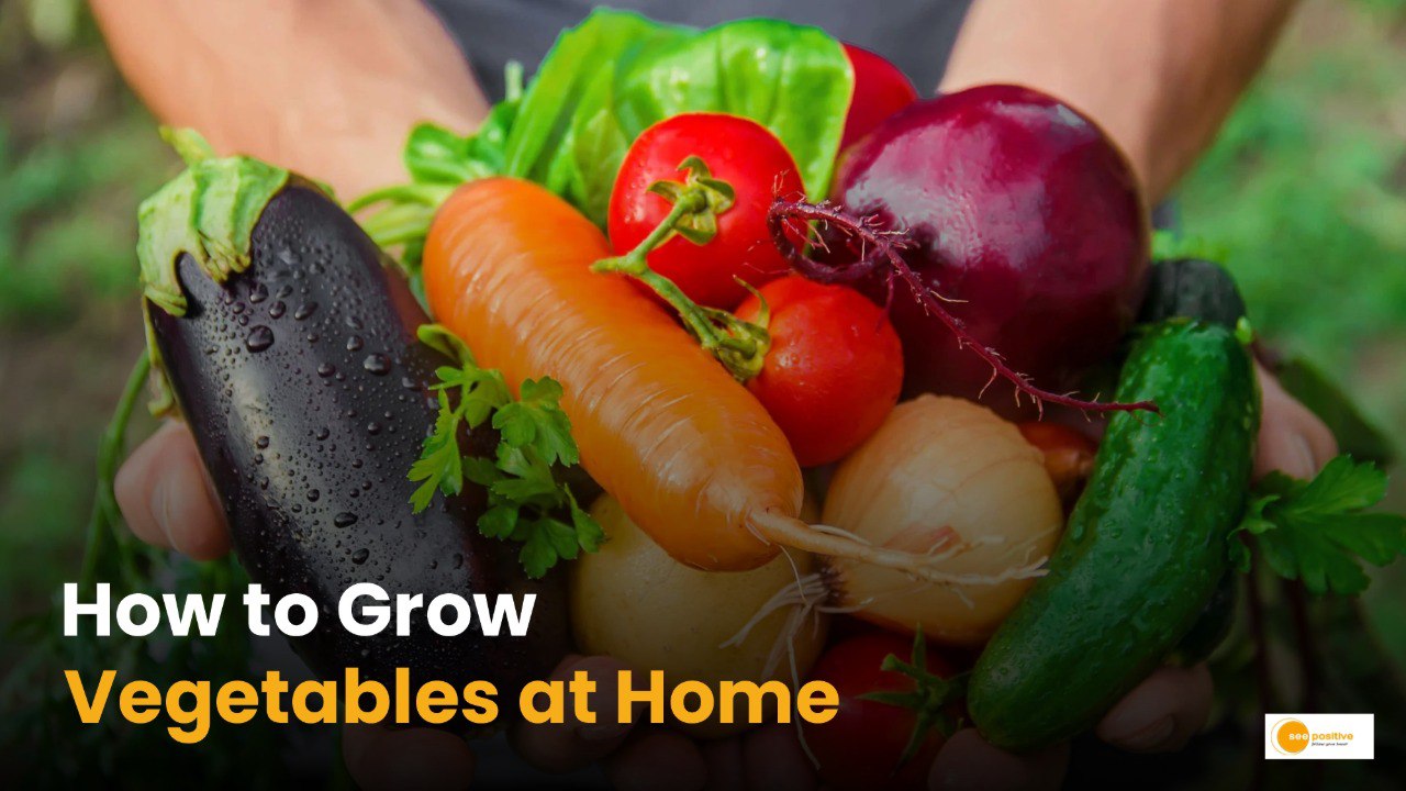 fastest growing vegetables