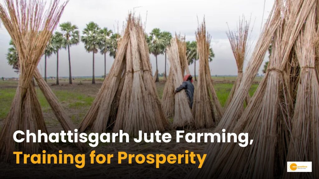 Chhattisgarh: जूट की खेती को बढ़ावा देने की नई पहल!