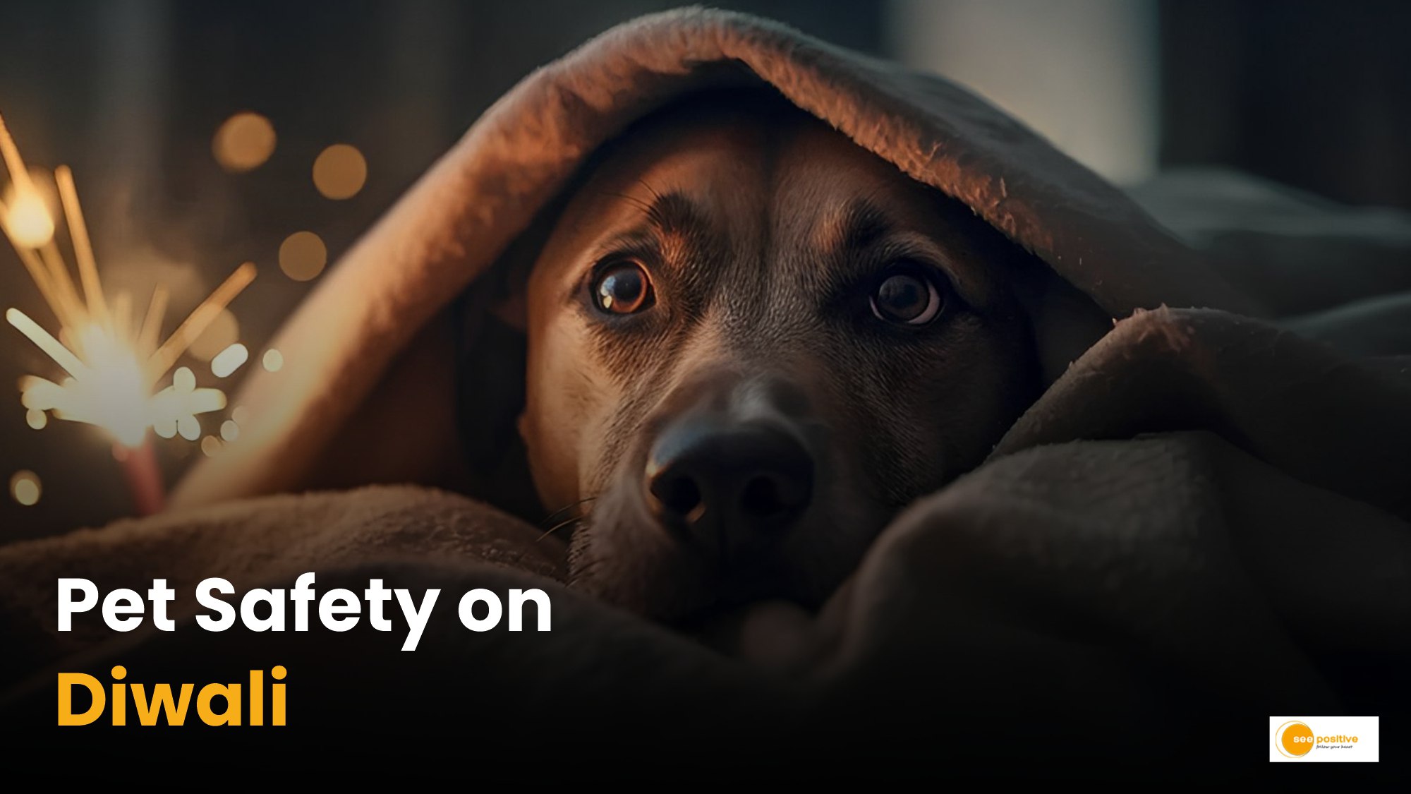 Keep pets safe on Diwali