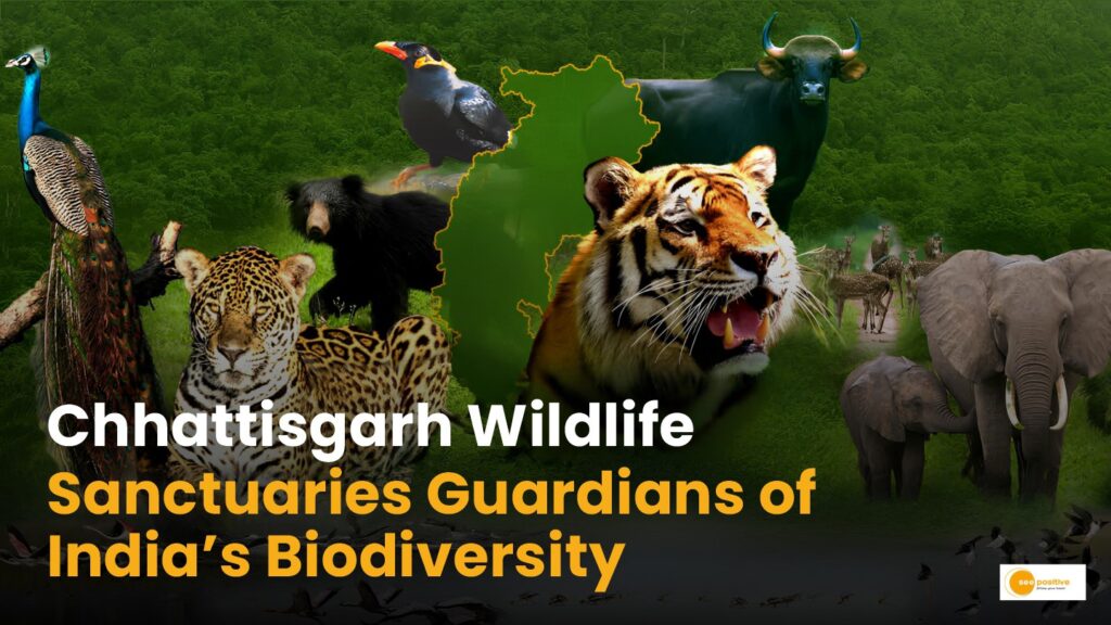 Chhattisgarh Wildlife Sanctuary