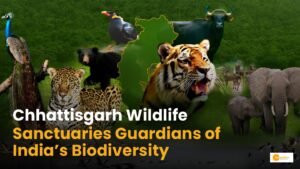 Read more about the article Chhattisgarh Wildlife Sanctuary: छत्तीसगढ़ के वन्यजीव अभ्यरण्य!