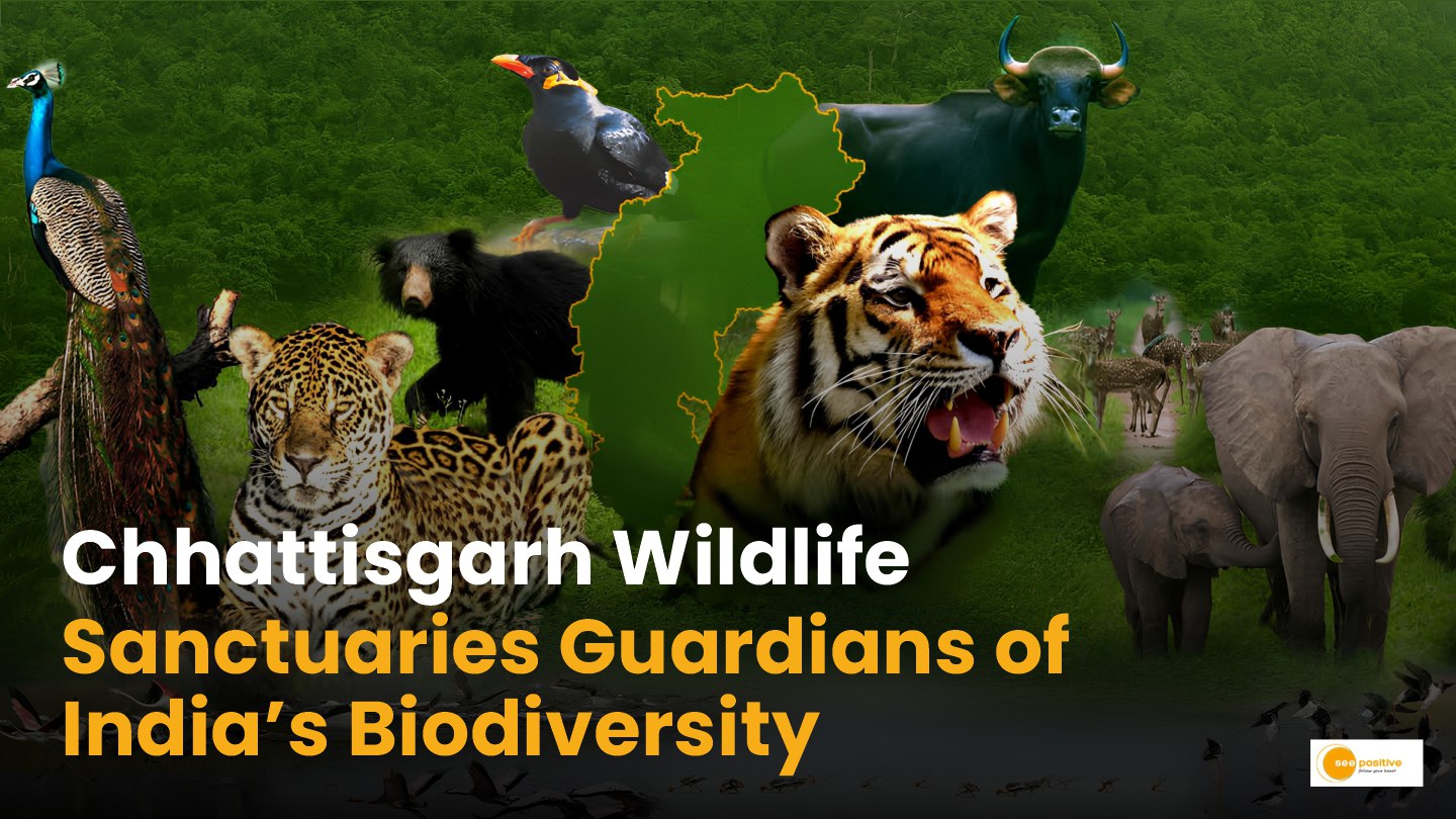 Chhattisgarh Wildlife Sanctuary