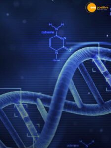 Read more about the article क्या होता है DNA? ये क्या काम करता है?