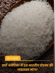 Read more about the article 