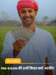 Read more about the article 