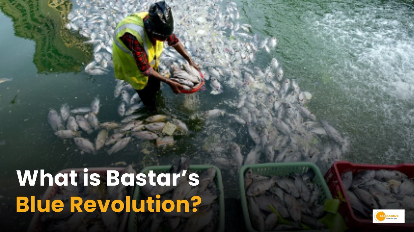 Bastar Fish Farming