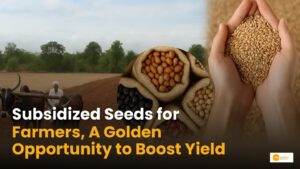 Read more about the article Beej Subsidy Yojana: 50% सब्सिडी पर मिल रहे हैं प्रमाणित बीज, अभी करें आवेदन!