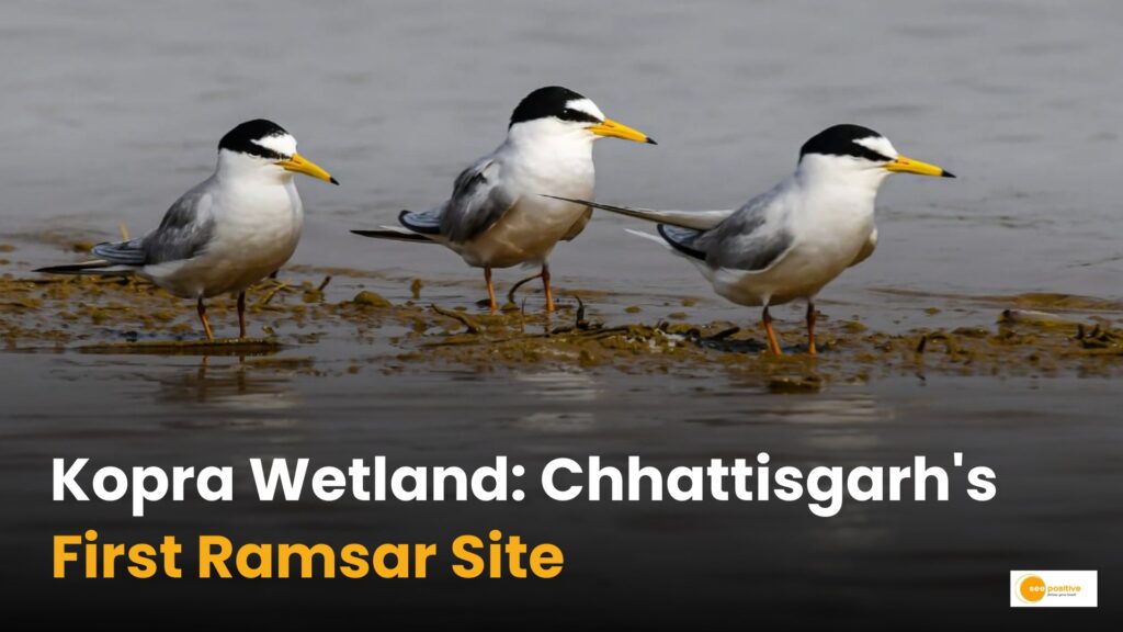 CG Ramsar Site