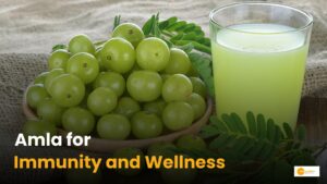 Read more about the article Why You Should Eat Amla Daily: Health Benefits and Recipes