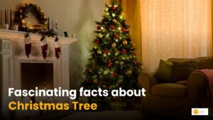 Read more about the article Christmas Tree Trivia You May Not Know. Know how the World Celebrates Christmas?